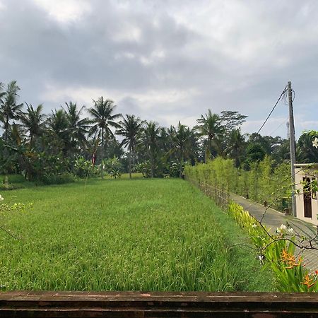 Adi Laxmi Villa Ubud Экстерьер фото