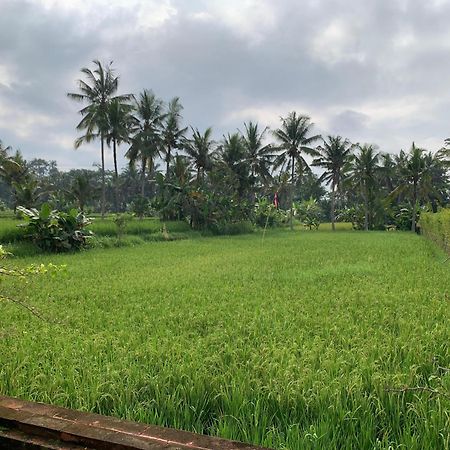 Adi Laxmi Villa Ubud Экстерьер фото