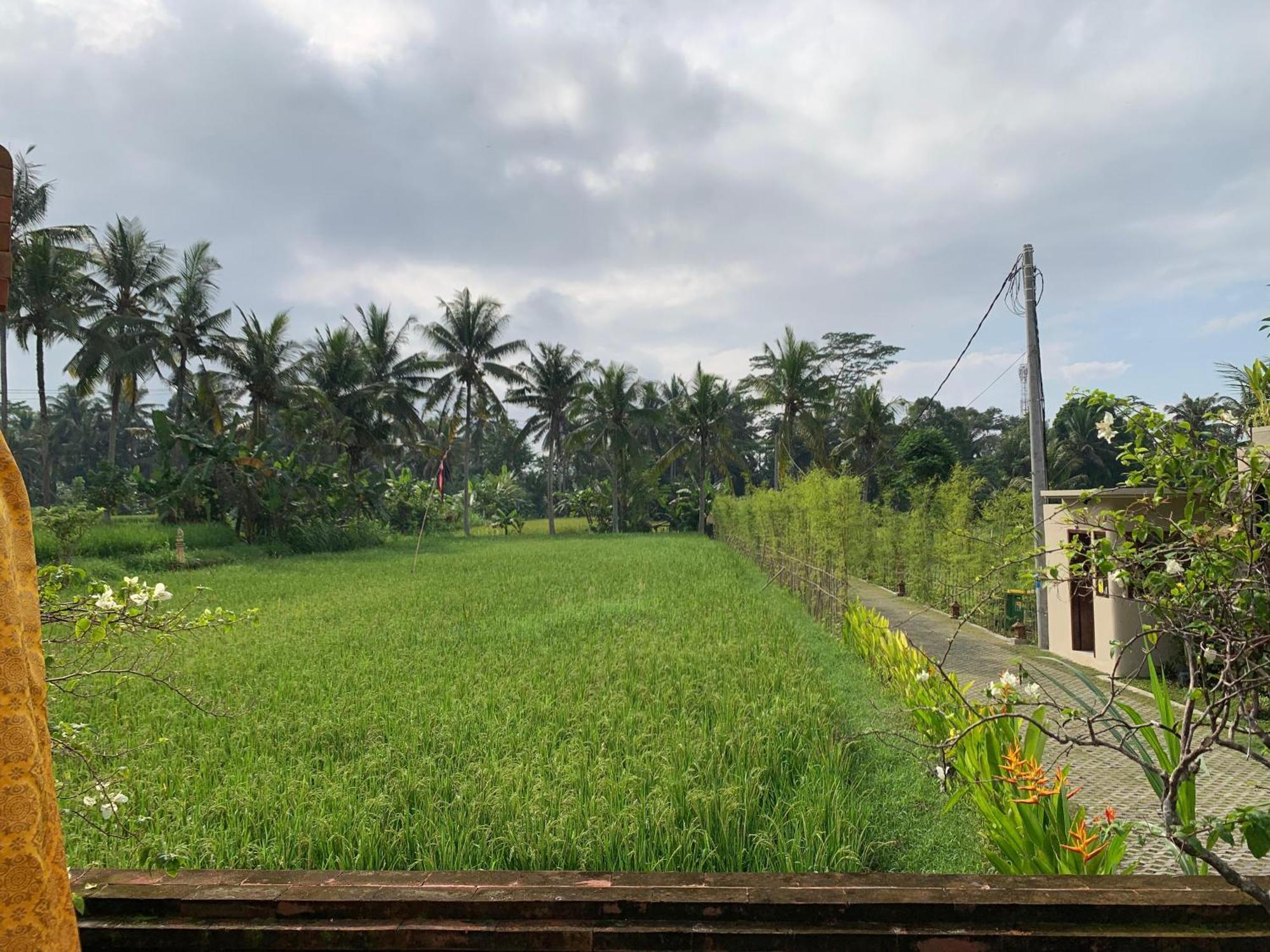 Adi Laxmi Villa Ubud Экстерьер фото