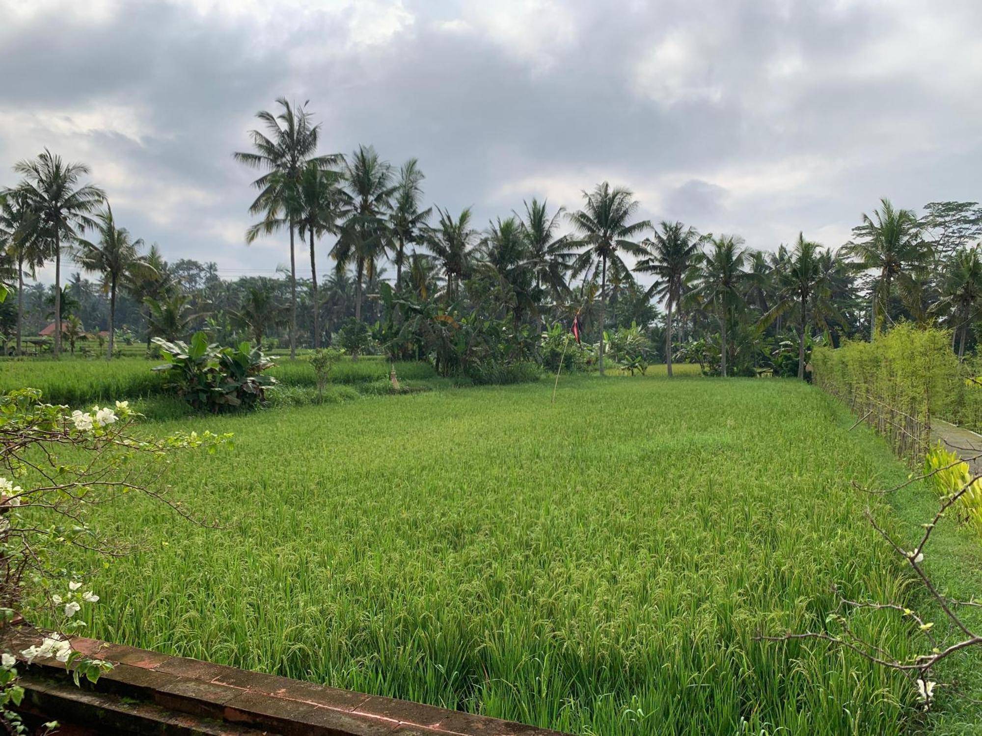 Adi Laxmi Villa Ubud Экстерьер фото